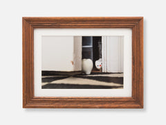 Toof Cleaning Framed Gallery Print