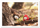 Into The Woods